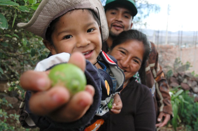 Valores familiares