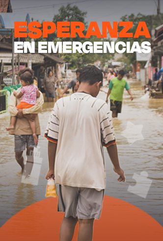 Imagen principal - Tamaño alto