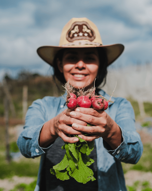 Diseño sin título-May-14-2025-08-11-35-7660-PM